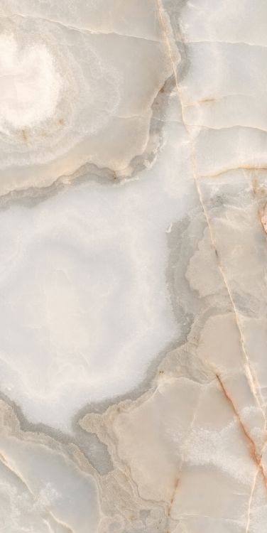 Reves Noisette Matte 24 x 48